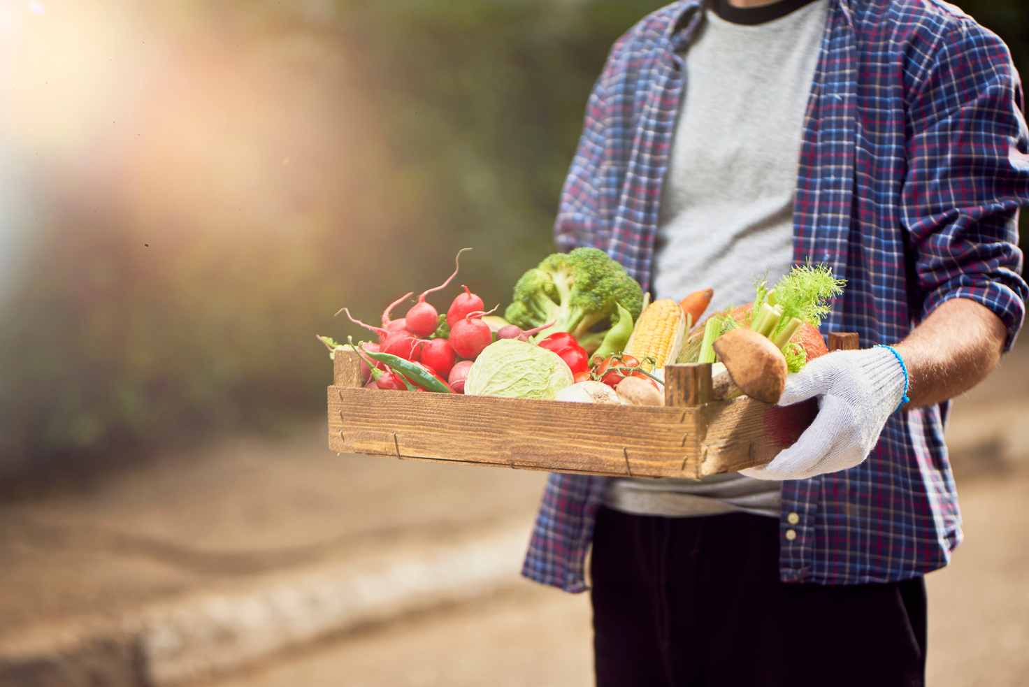 Farmers hands holding wooden box with different fruits and vegetables