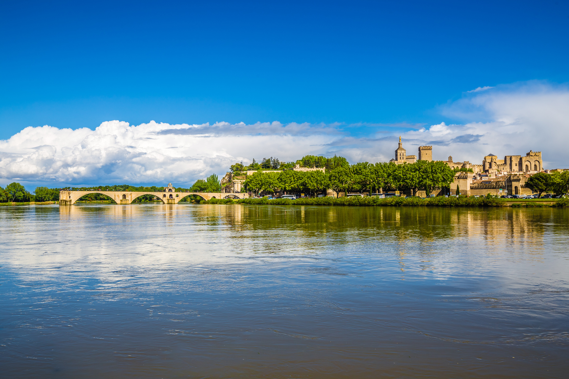 Avignon Cathedral And Rhone River - Avignon,France