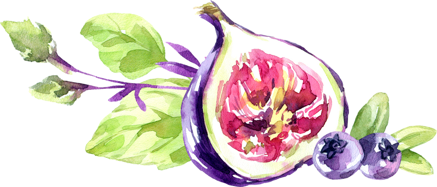 Watercolor colorful figs fruit decorative element